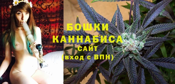 мдпв Гусиноозёрск