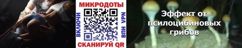 Псилоцибиновые грибы MAGIC MUSHROOMS  где найти наркотики  Северск 